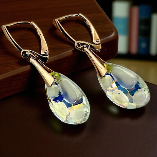 Sudraba Kristālu auskari / Fosil